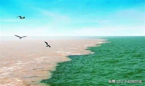 廣州位於哪條河流的入海口